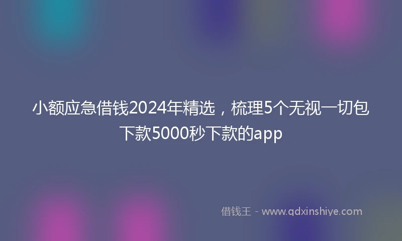 小额应急借钱2024年精选，梳理5个无视一切包下款5000秒下款的app