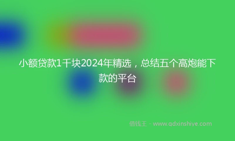 小额贷款1千块2024年精选，总结五个高炮能下款的平台