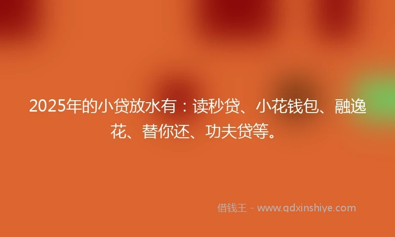 2025年的小贷放水有：读秒贷、小花钱包、融逸花、替你还、功夫贷等。