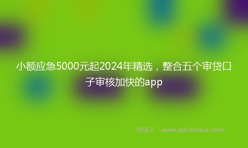 小额应急5000元起2024年精选，整合五个审贷口子审核加快的app