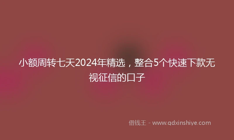 小额周转七天2024年精选，整合5个快速下款无视征信的口子