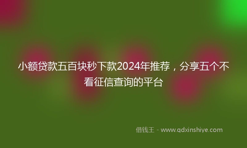 小额贷款五百块秒下款2024年推荐，分享五个不看征信查询的平台