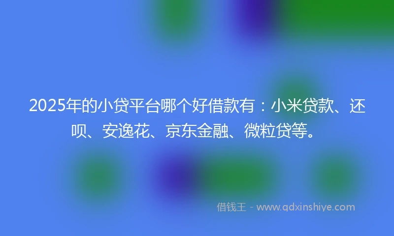2025年的小贷平台哪个好借款有：小米贷款、还呗、安逸花、京东金融、微粒贷等。