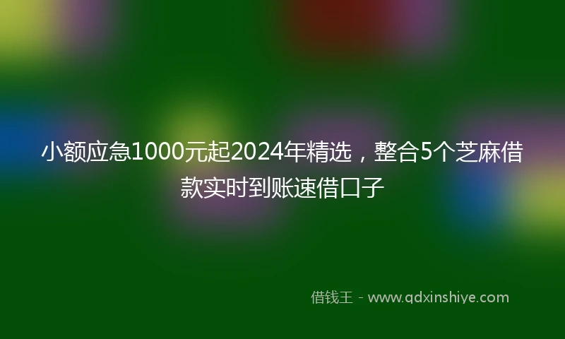 小额应急1000元起2024年精选，整合5个芝麻借款实时到账速借口子
