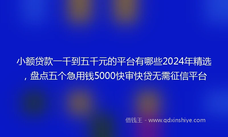小额贷款一千到五千元的平台有哪些2024年精选，盘点五个急用钱5000快审快贷无需征信平台