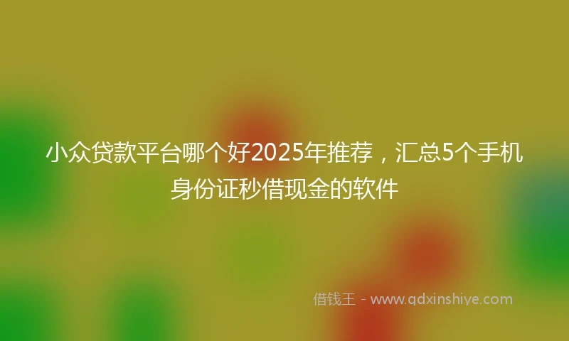 小众贷款平台哪个好2025年推荐，汇总5个手机身份证秒借现金的软件