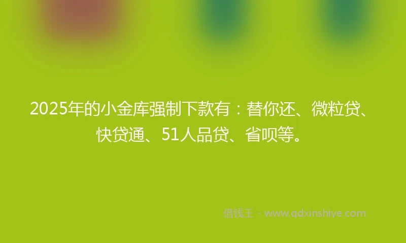 2025年的小金库强制下款有：替你还、微粒贷、快贷通、51人品贷、省呗等。