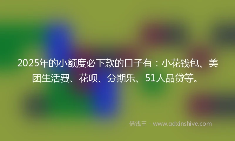2025年的小额度必下款的口子有：小花钱包、美团生活费、花呗、分期乐、51人品贷等。