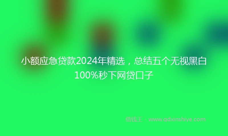 小额应急贷款2024年精选，总结五个无视黑白100%秒下网贷口子