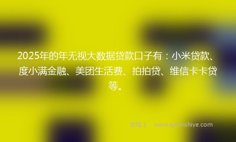 2025年的年无视大数据贷款口子有：小米贷款、度小满金融、美团生活费、拍拍贷、维信卡卡贷等。
