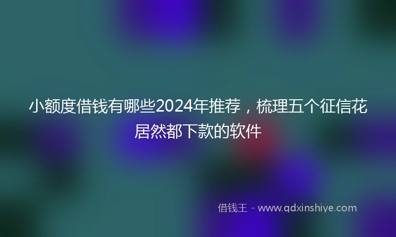 小额度借钱有哪些2024年推荐，梳理五个征信花居然都下款的软件