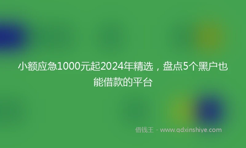 小额应急1000元起2024年精选，盘点5个黑户也能借款的平台