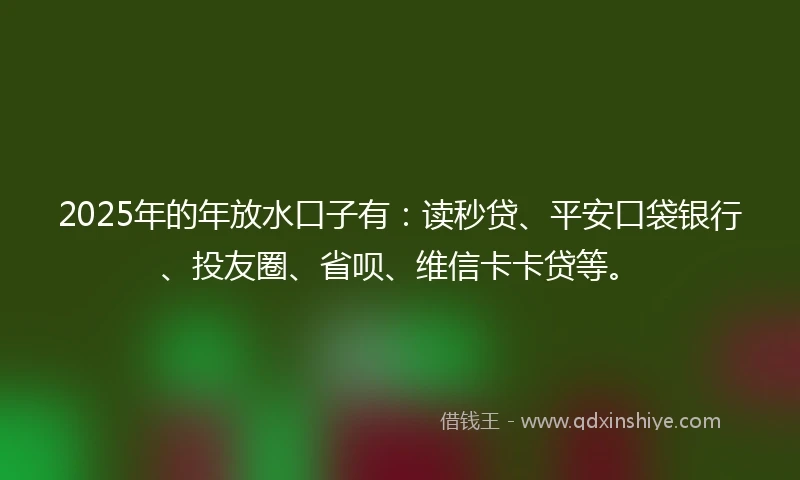 2025年的年放水口子有：读秒贷、平安口袋银行、投友圈、省呗、维信卡卡贷等。