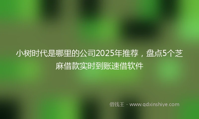 小树时代是哪里的公司2025年推荐，盘点5个芝麻借款实时到账速借软件