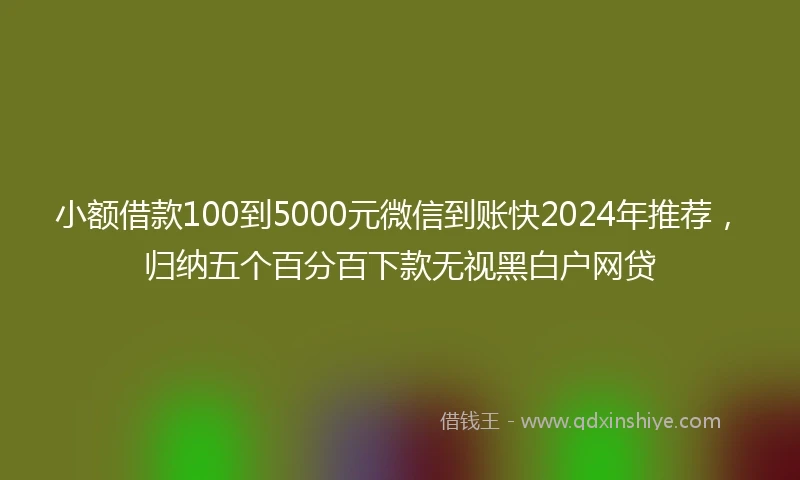 小额借款100到5000元微信到账快2024年推荐，归纳五个百分百下款无视黑白户网贷