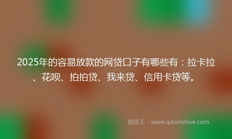 2025年的容易放款的网贷口子有哪些有：拉卡拉、花呗、拍拍贷、我来贷、信用卡贷等。