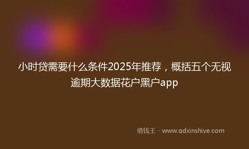 小时贷需要什么条件2025年推荐，概括五个无视逾期大数据花户黑户app