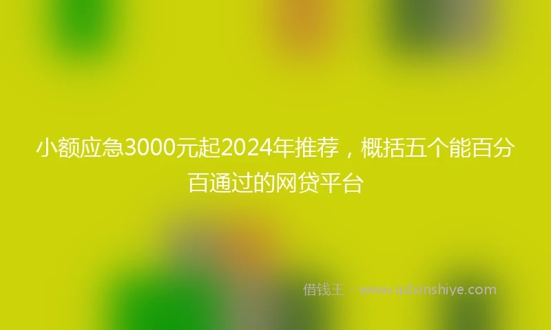 小额应急3000元起2024年推荐，概括五个能百分百通过的网贷平台