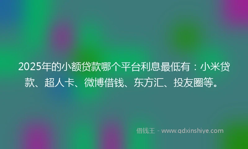 2025年的小额贷款哪个平台利息最低有：小米贷款、超人卡、微博借钱、东方汇、投友圈等。