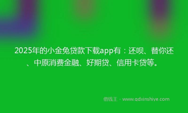 2025年的小金兔贷款下载app有：还呗、替你还、中原消费金融、好期贷、信用卡贷等。
