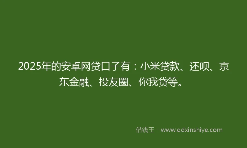 2025年的安卓网贷口子有：小米贷款、还呗、京东金融、投友圈、你我贷等。