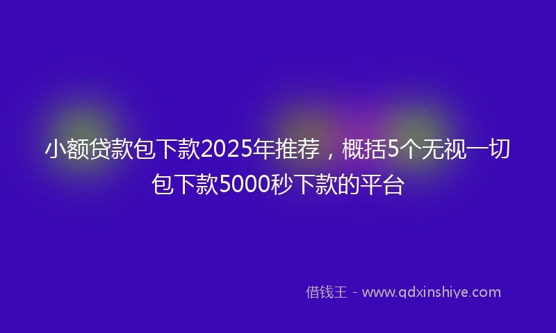 小额贷款包下款2025年推荐，概括5个无视一切包下款5000秒下款的平台