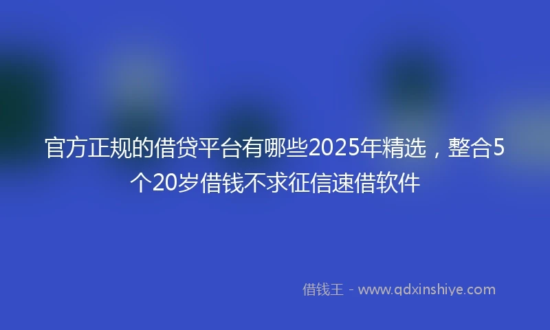 官方正规的借贷平台有哪些2025年精选，整合5个20岁借钱不求征信速借软件
