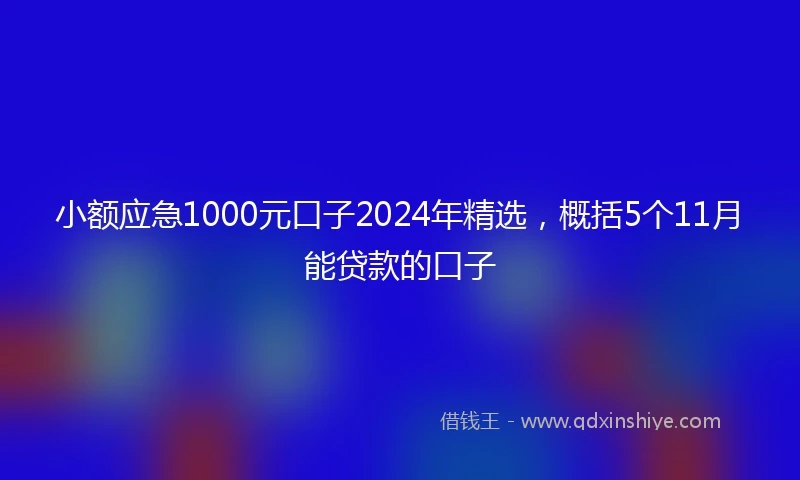 小额应急1000元口子2024年精选，概括5个11月能贷款的口子