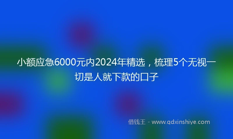 小额应急6000元内2024年精选，梳理5个无视一切是人就下款的口子