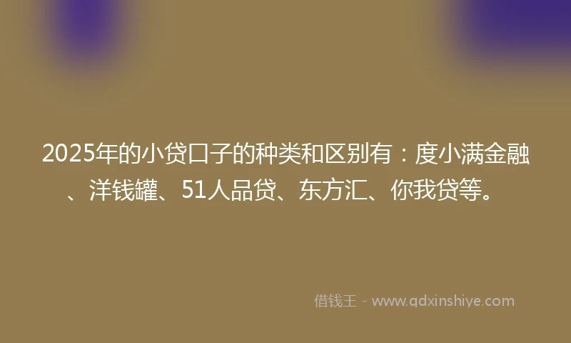 2025年的小贷口子的种类和区别有：度小满金融、洋钱罐、51人品贷、东方汇、你我贷等。