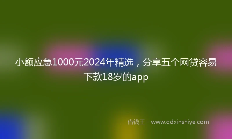小额应急1000元2024年精选，分享五个网贷容易下款18岁的app