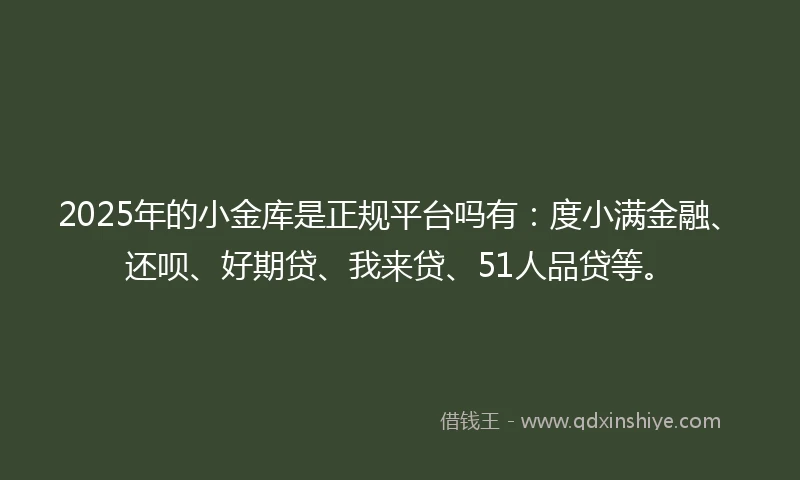 2025年的小金库是正规平台吗有：度小满金融、还呗、好期贷、我来贷、51人品贷等。