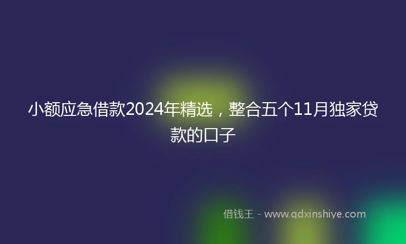 小额应急借款2024年精选，整合五个11月独家贷款的口子