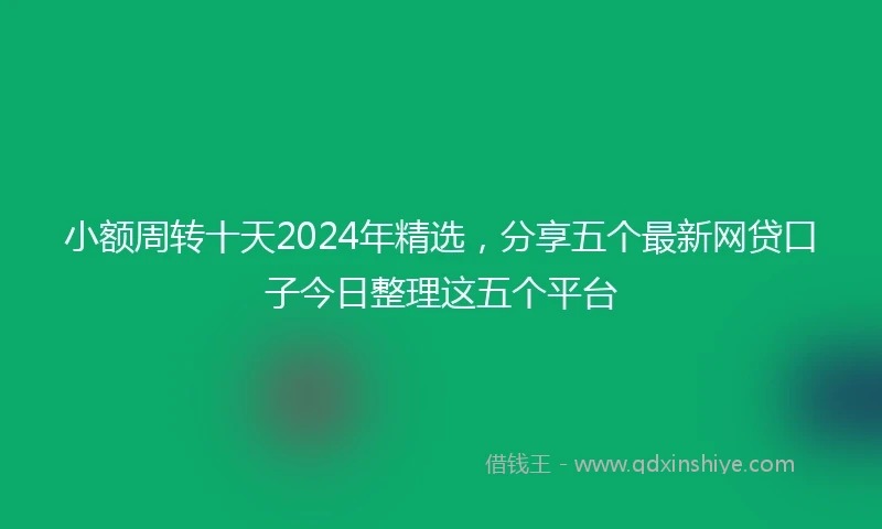 小额周转十天2024年精选，分享五个最新网贷口子今日整理这五个平台