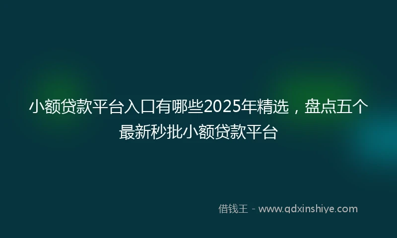 小额贷款平台入口有哪些2025年精选，盘点五个最新秒批小额贷款平台