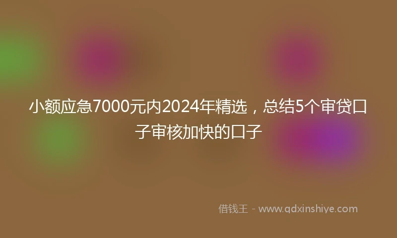小额应急7000元内2024年精选，总结5个审贷口子审核加快的口子