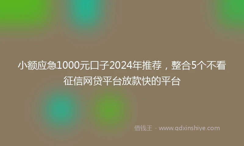 小额应急1000元口子2024年推荐，整合5个不看征信网贷平台放款快的平台