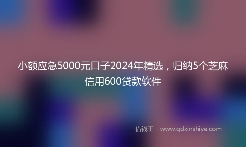 小额应急5000元口子2024年精选，归纳5个芝麻信用600贷款软件