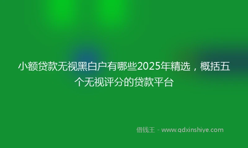 小额贷款无视黑白户有哪些2025年精选，概括五个无视评分的贷款平台