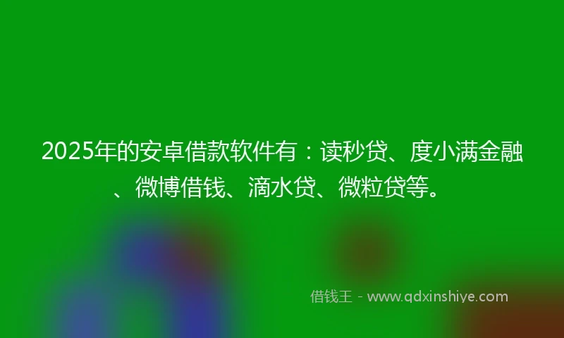 2025年的安卓借款软件有：读秒贷、度小满金融、微博借钱、滴水贷、微粒贷等。