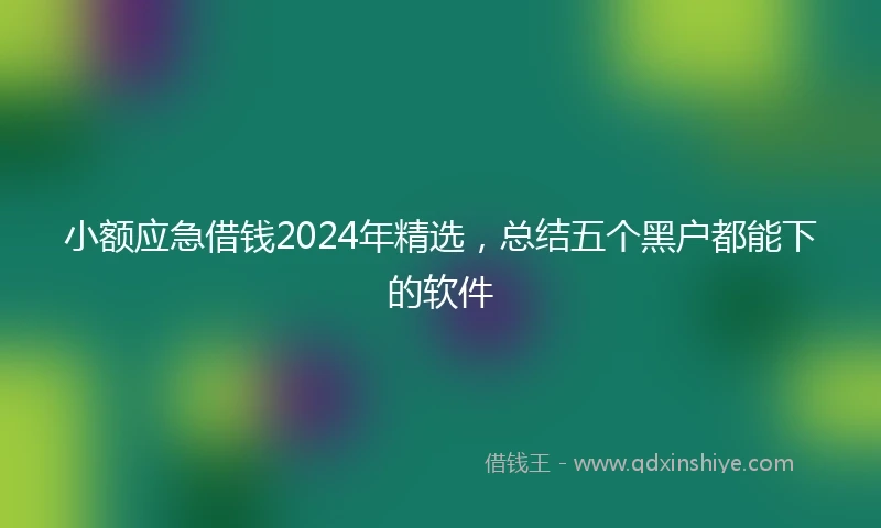 小额应急借钱2024年精选，总结五个黑户都能下的软件