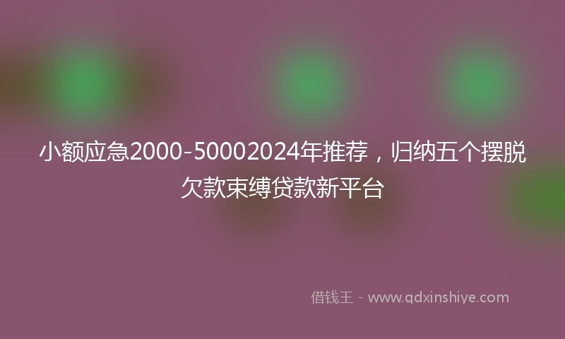 小额应急2000-50002024年推荐，归纳五个摆脱欠款束缚贷款新平台