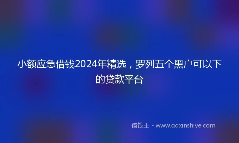 小额应急借钱2024年精选，罗列五个黑户可以下的贷款平台