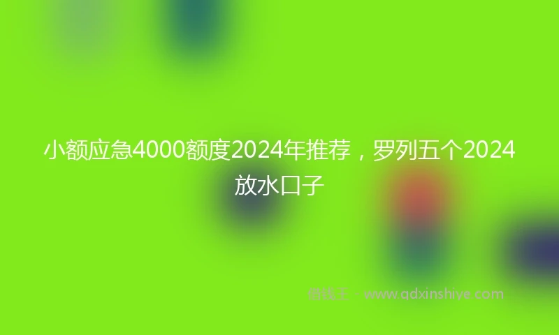 小额应急4000额度2024年推荐，罗列五个2024放水口子