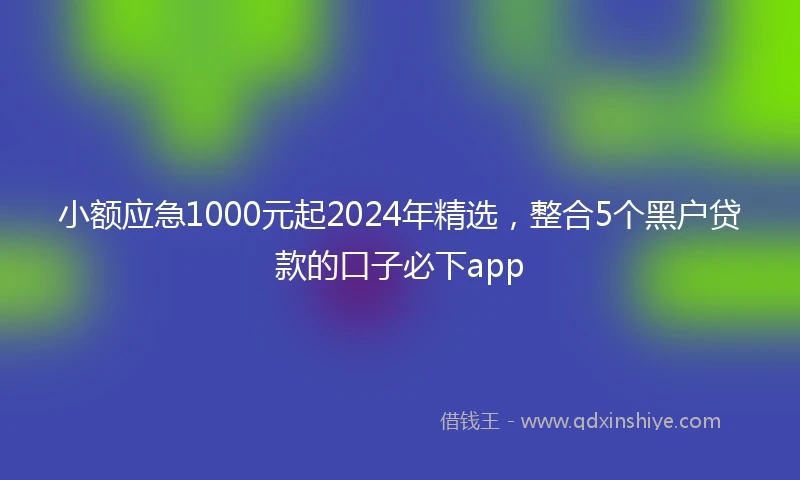 小额应急1000元起2024年精选，整合5个黑户贷款的口子必下app