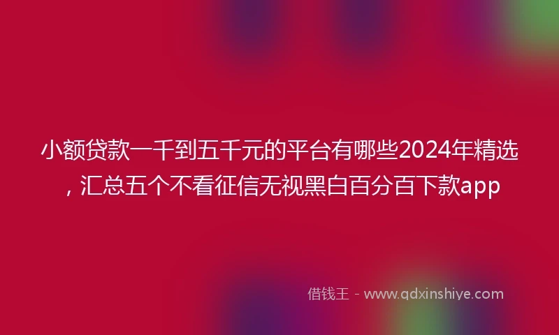 小额贷款一千到五千元的平台有哪些2024年精选，汇总五个不看征信无视黑白百分百下款app
