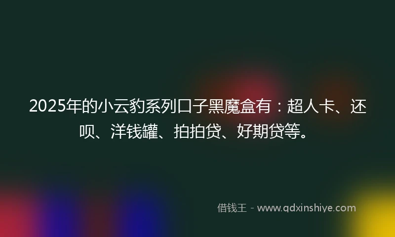 2025年的小云豹系列口子黑魔盒有：超人卡、还呗、洋钱罐、拍拍贷、好期贷等。