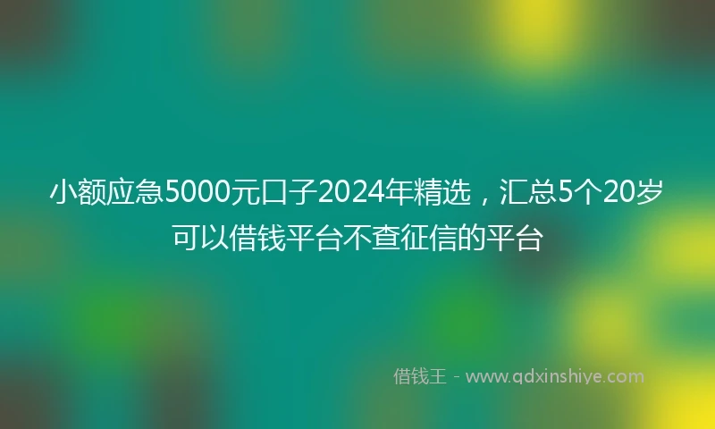 小额应急5000元口子2024年精选，汇总5个20岁可以借钱平台不查征信的平台