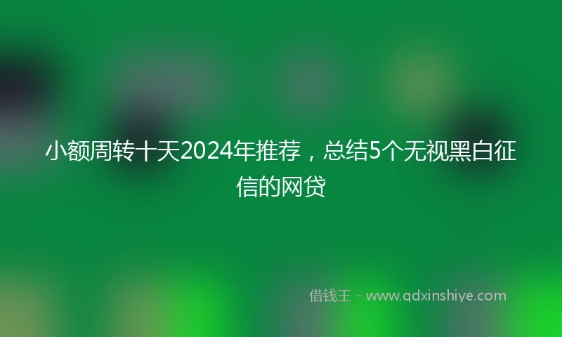 小额周转十天2024年推荐，总结5个无视黑白征信的网贷