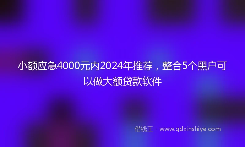 小额应急4000元内2024年推荐，整合5个黑户可以做大额贷款软件